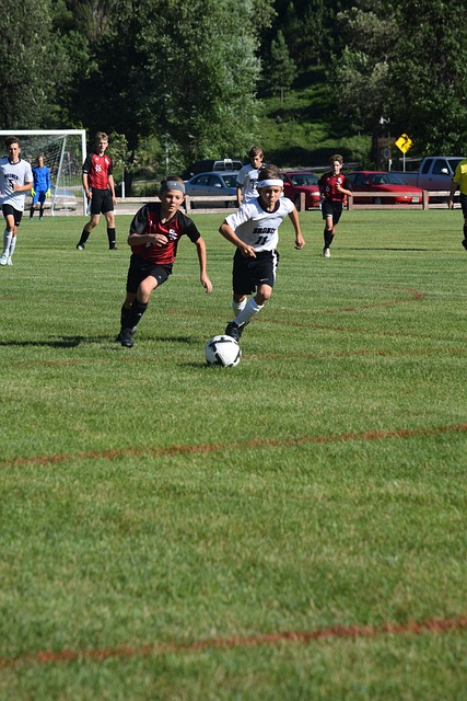 尤其是维尼 尤其是维尼