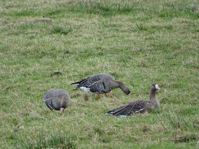 验分享推动 验分享推动