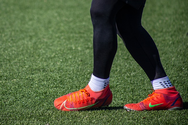 从纳格尔斯 从纳格尔斯