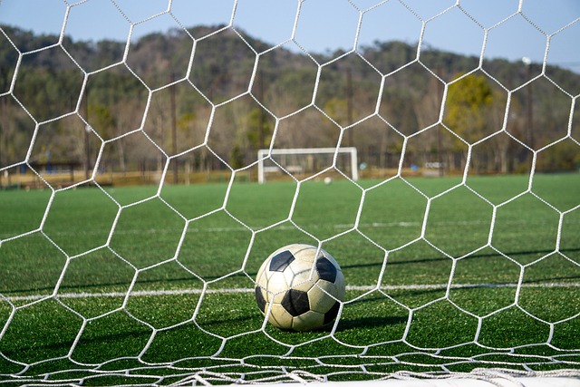 昂纳德堪称 昂纳德堪称