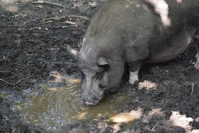 全国70多名滑雪爱好者亚布力挑战“亚洲最陡”野雪赛道.